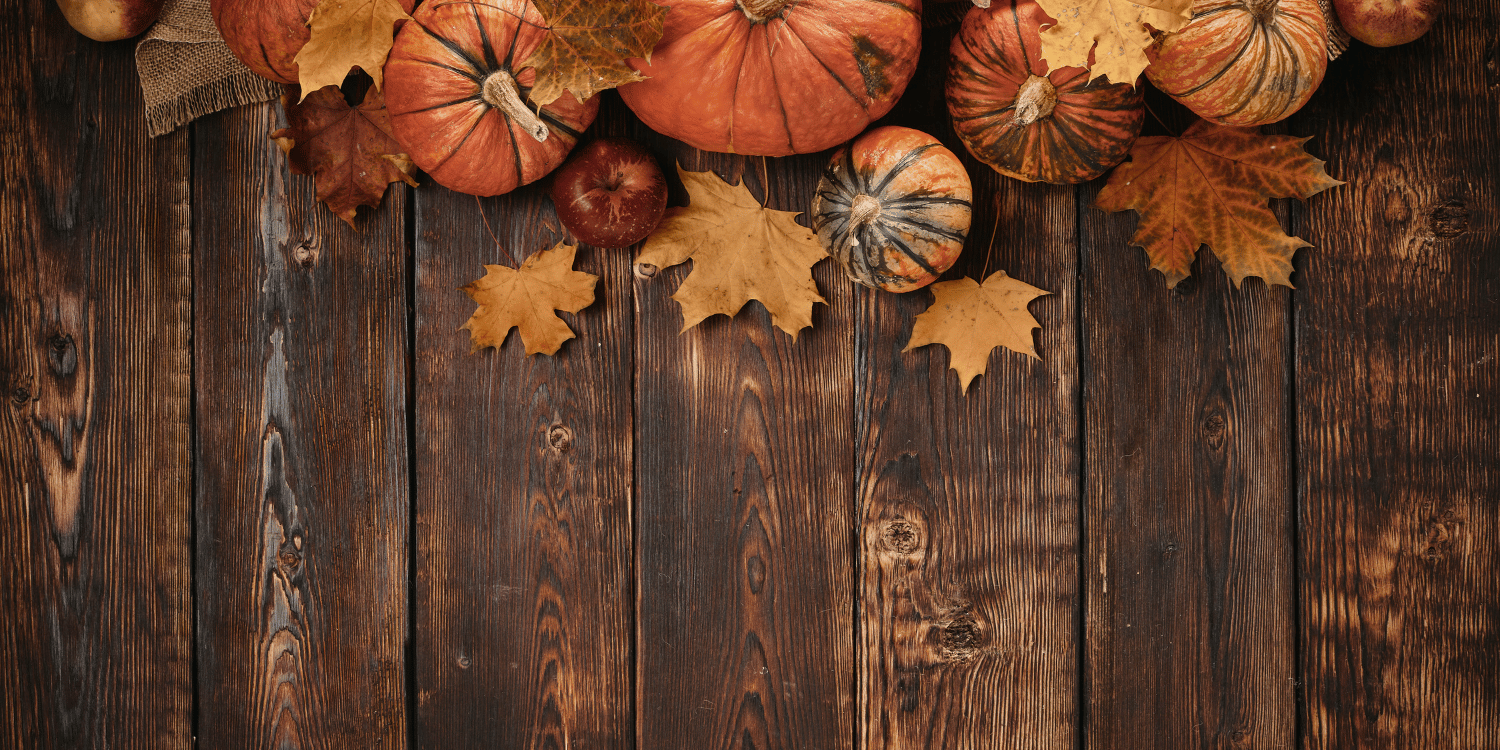 Thanksgiving Promo 3